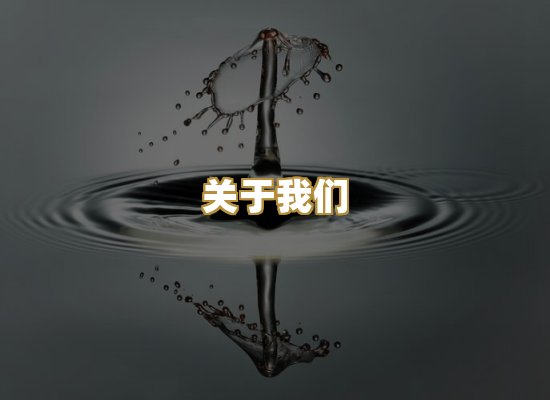 关于我们